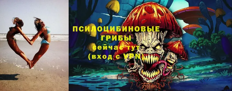 купить закладку  Агрыз  Галлюциногенные грибы Magic Shrooms 